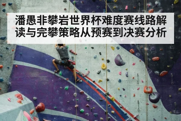 sport climbing competition wall